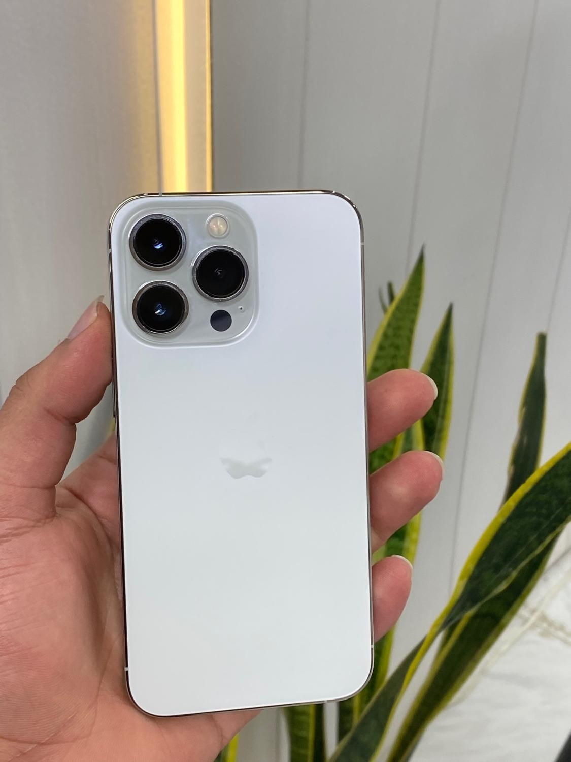 اپل iPhone 13 Pro با حافظهٔ ۲۵۶ گیگابایت|موبایل|بوشهر, |دیوار
