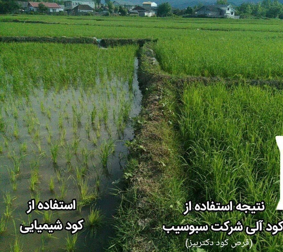 کود ارگانیک افزایش محصولات چندبرابر|گل و گیاه طبیعی|مشهد, کلاهدوز|دیوار