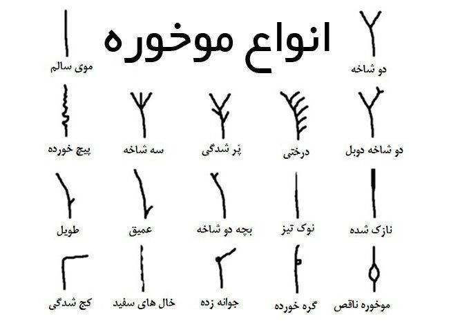موخوره گیری روسی تخصصی|اسکان اضطراری|بروجرد, |دیوار