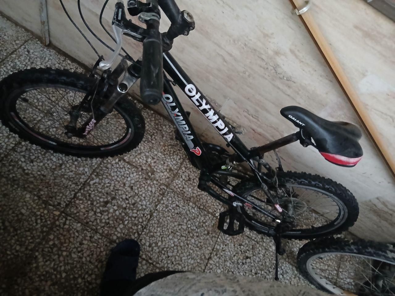 دو عدد دوچرخه ۲۰ و ۲۴ و دنده ای|دوچرخه، اسکیت، اسکوتر|قدس, شهرقدس|دیوار