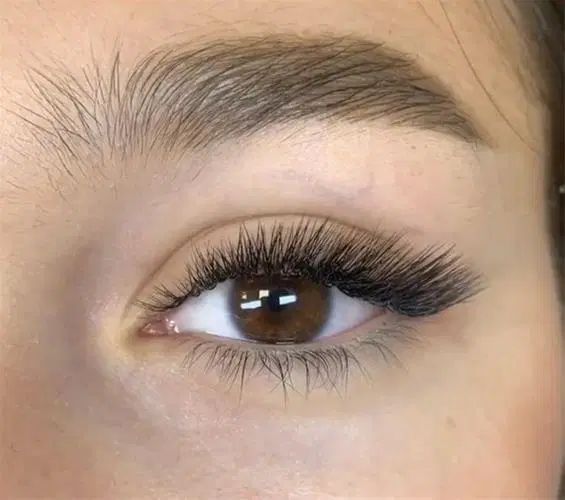 هیدن مژه و کاشت|خدمات آرایشگری و زیبایی|رشت, یخسازی|دیوار