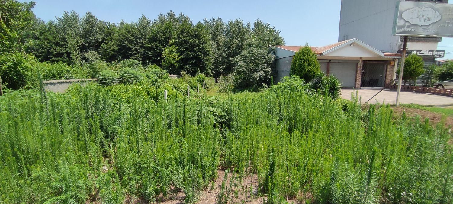 زمین تجاری  400 متر منطقه آزاد انزلی|فروش زمین و ملک کلنگی|رشت, فرزانه|دیوار