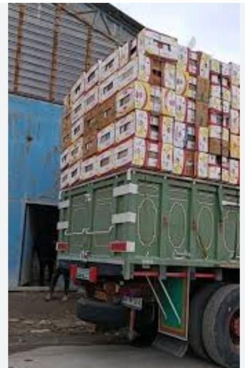 کارتن موزی|عمده‌فروشی|اصفهان, شهرک امام خمینی|دیوار