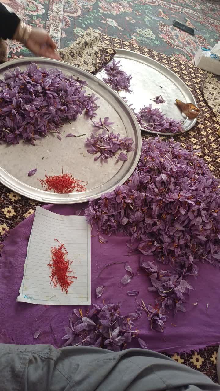زعفران درجه یک و اصل مشهد|خوردنی و آشامیدنی|تهران, قیام‌دشت|دیوار