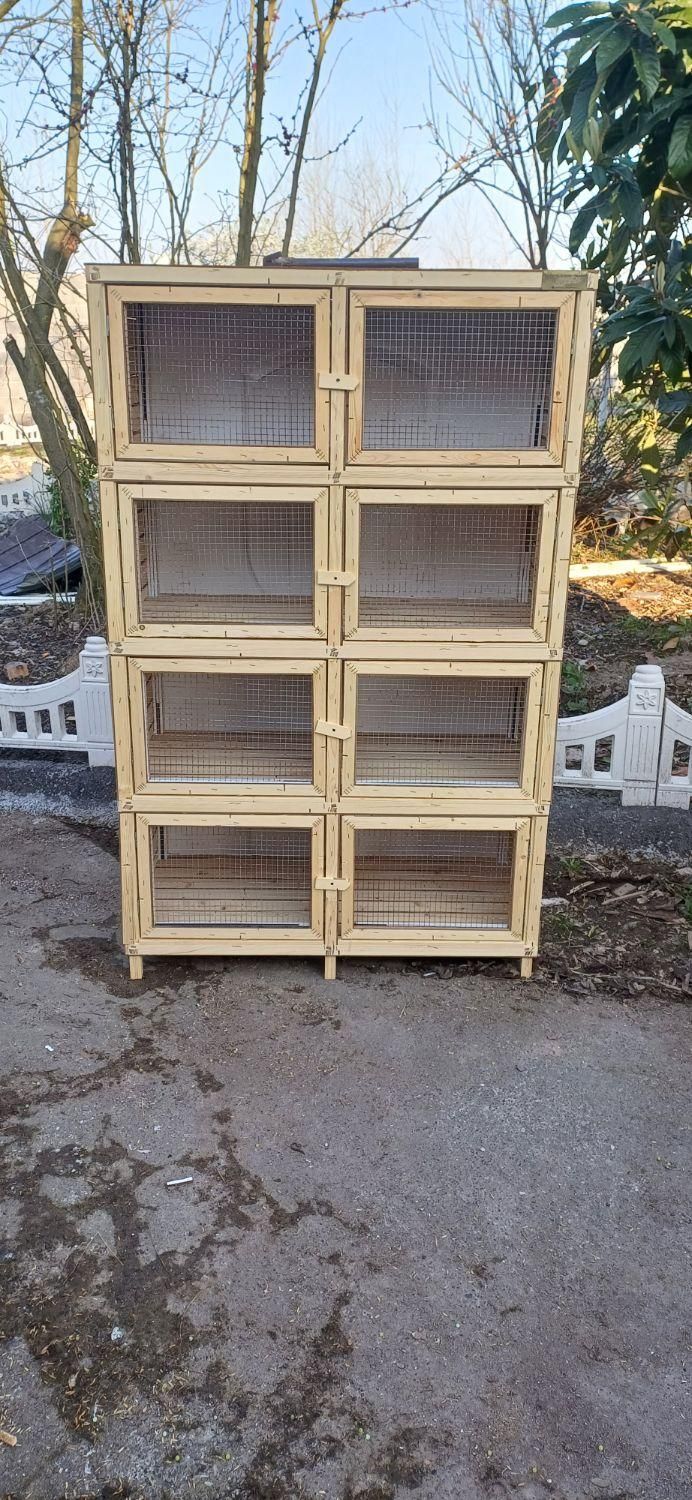 لانه پرنده پران کبوتر|لوازم جانبی حیوانات|رشت, گلسار|دیوار