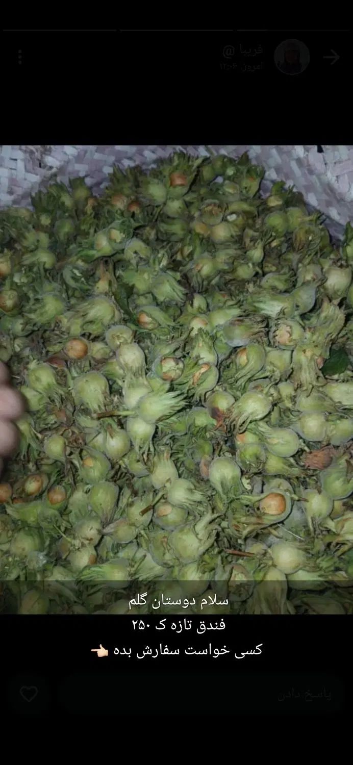 فندق تازه|خوردنی و آشامیدنی|رشت, بلوار گیلان|دیوار