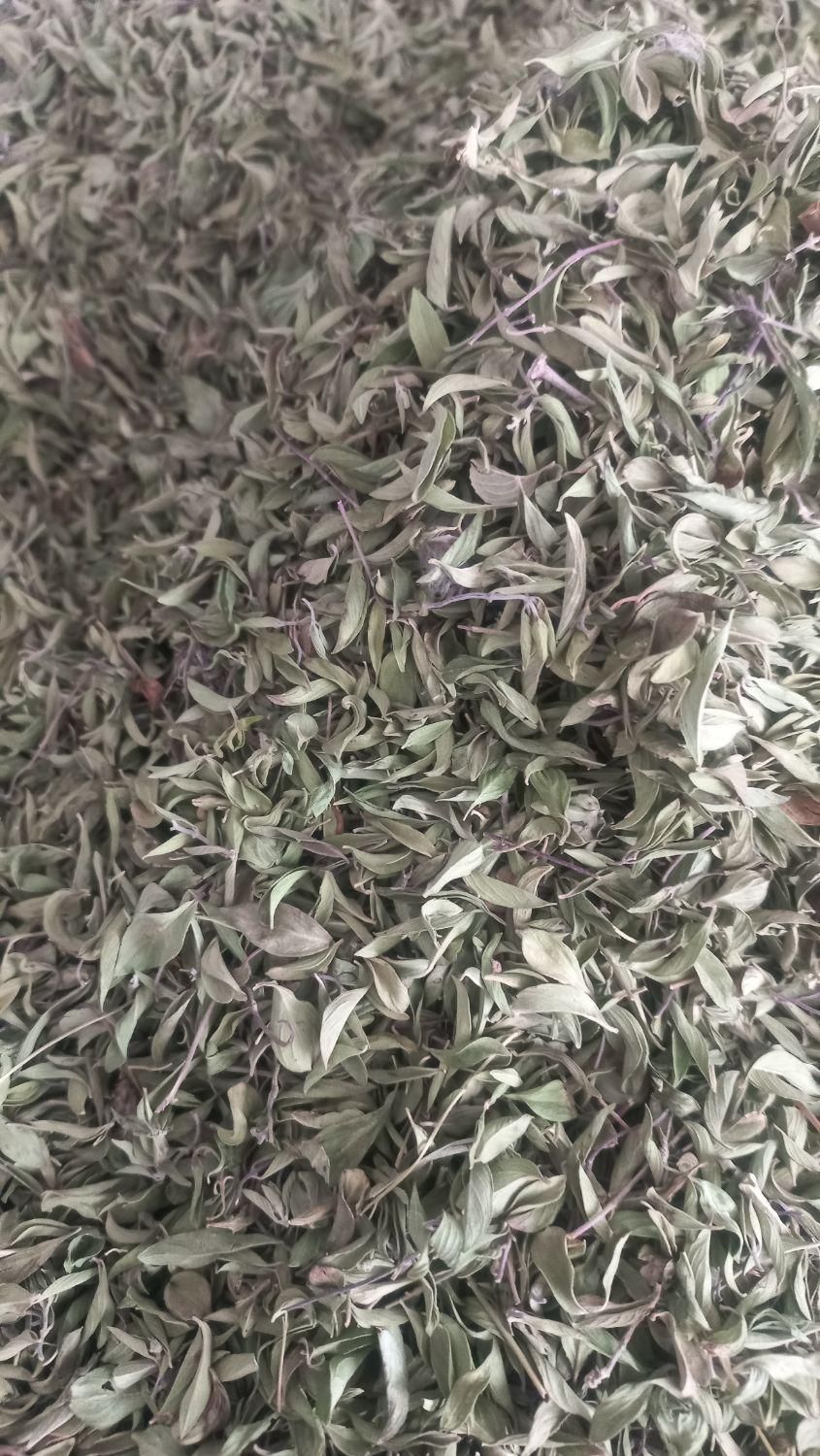 انخ آویشن کاکائو چای کوهی|خوردنی و آشامیدنی|مشهد, رده|دیوار