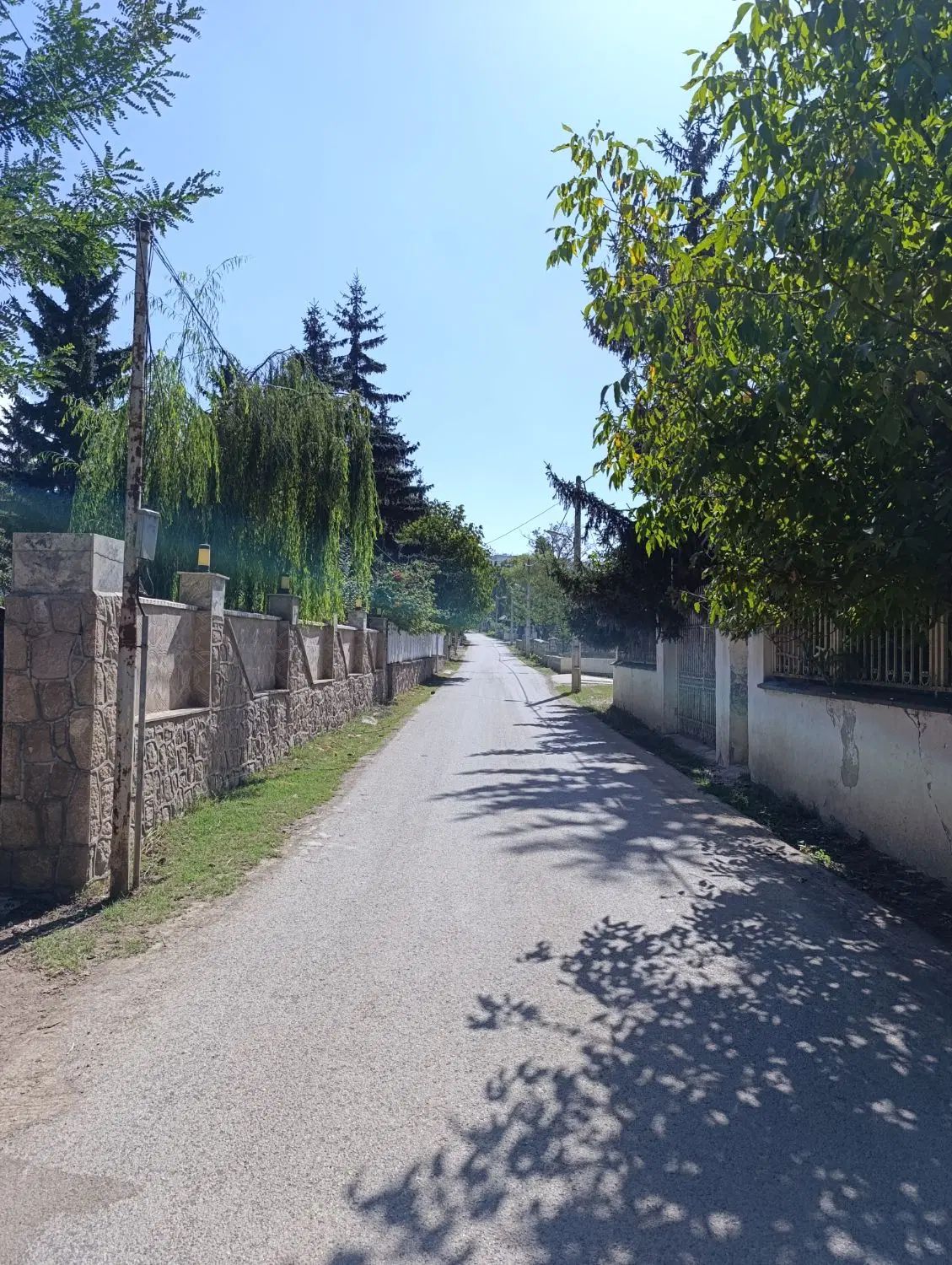 955 متر زمین سند تک برگ تاپ لوکیشن ویلایی کلاردشت|فروش زمین و ملک کلنگی|کلاردشت, |دیوار