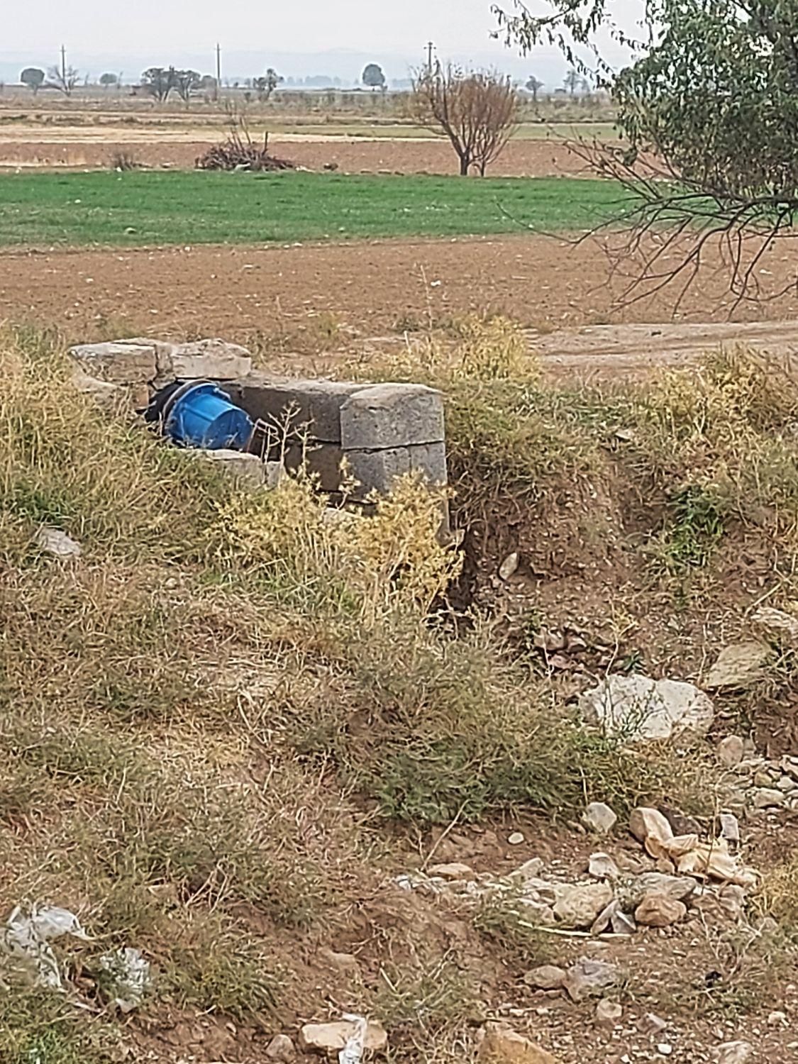 زمین کشاورزی با سهمیه آب موتور|فروش زمین و ملک کلنگی|زاویه, |دیوار