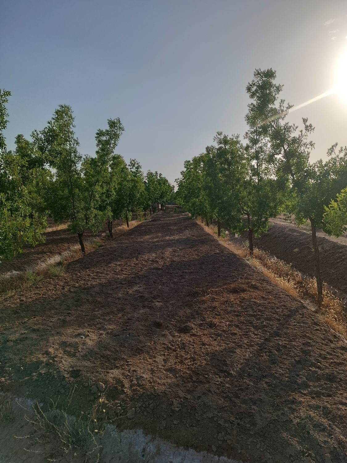 تصویر 7