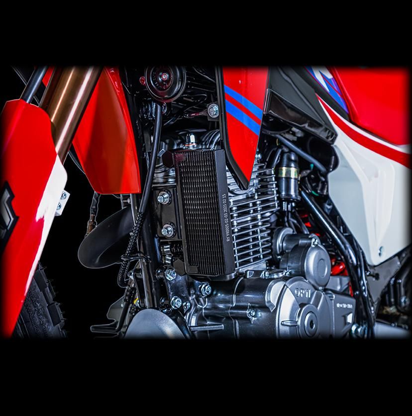 فلات 250xr|موتورسیکلت|مشهد, آیت الله عبادی|دیوار