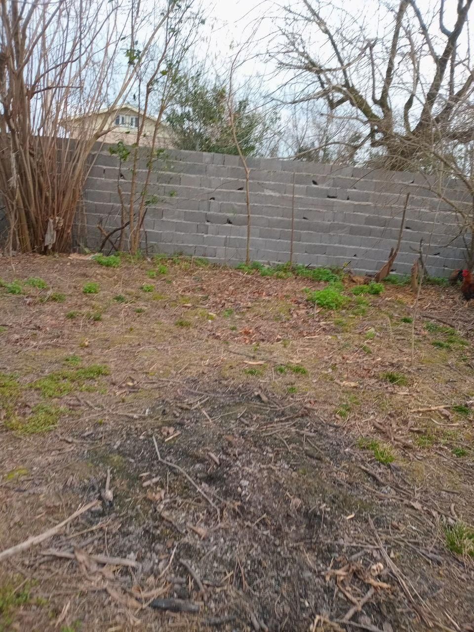 فروش زمین ۲۳۵ متری مسکونی|فروش زمین و ملک کلنگی|رشت, ترمینال|دیوار