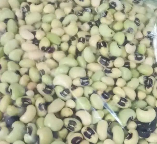 لوبیا چشم بلبلی|خوردنی و آشامیدنی|رشت, تازه آباد|دیوار