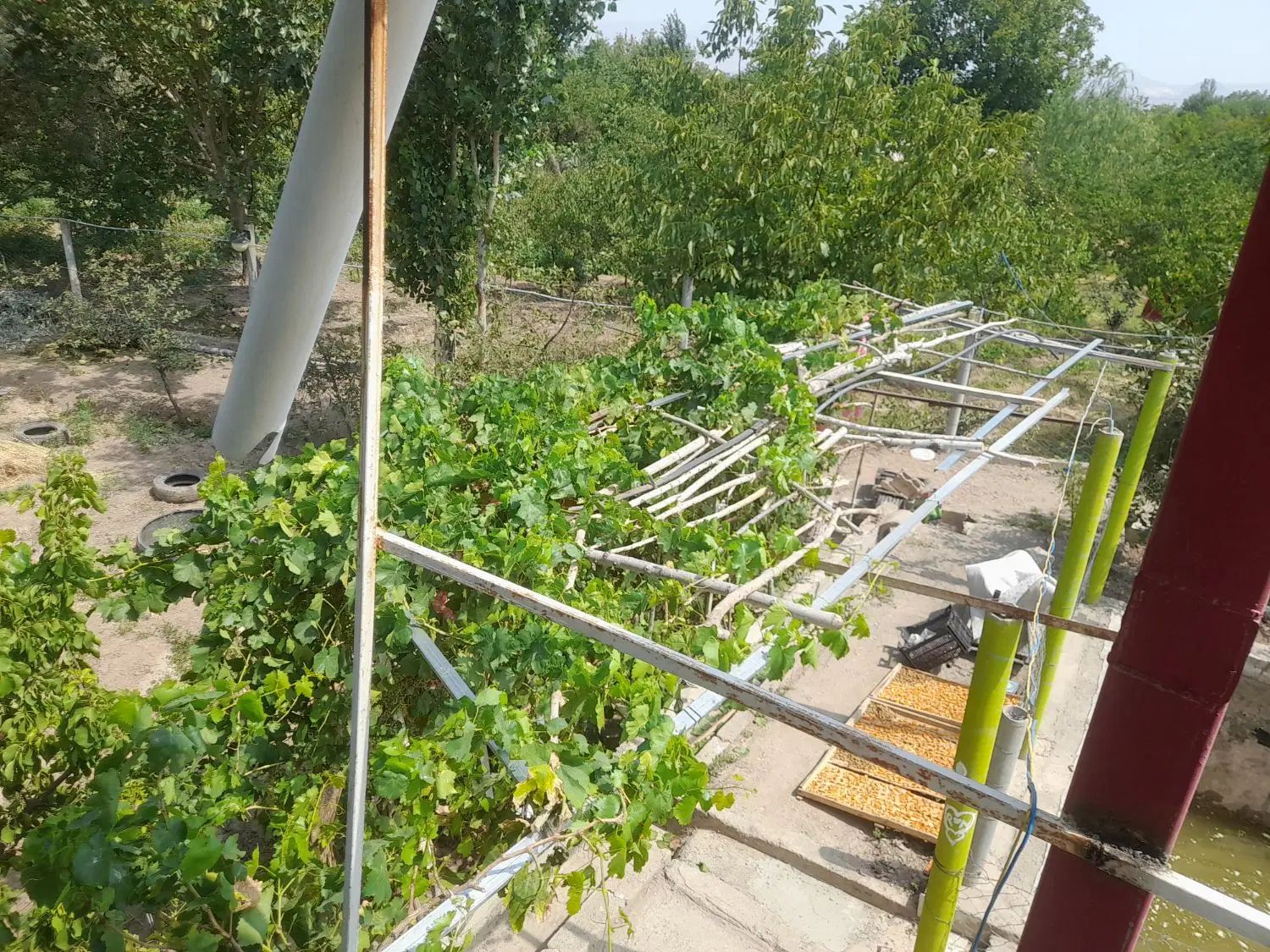 باغ ۲۰۰۰متردر اراضی مرندبه قیمت ۱۴۰۰۰۰۰۰۰۰تومان|فروش دفتر صنعتی، کشاورزی، تجاری|مرند, |دیوار