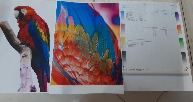 پرینتر رنگی تک کاره hp1025/1025nwفول شارژ باضمانت|پرینتر، اسکنر، کپی، فکس|تهران, نجات اللهی|دیوار