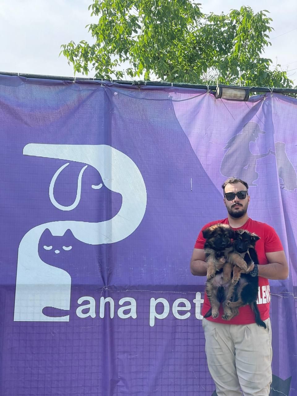 ژرمن شپرد کینگ موبلند بلک فیس|سگ|تهران, جنت‌آباد مرکزی|دیوار