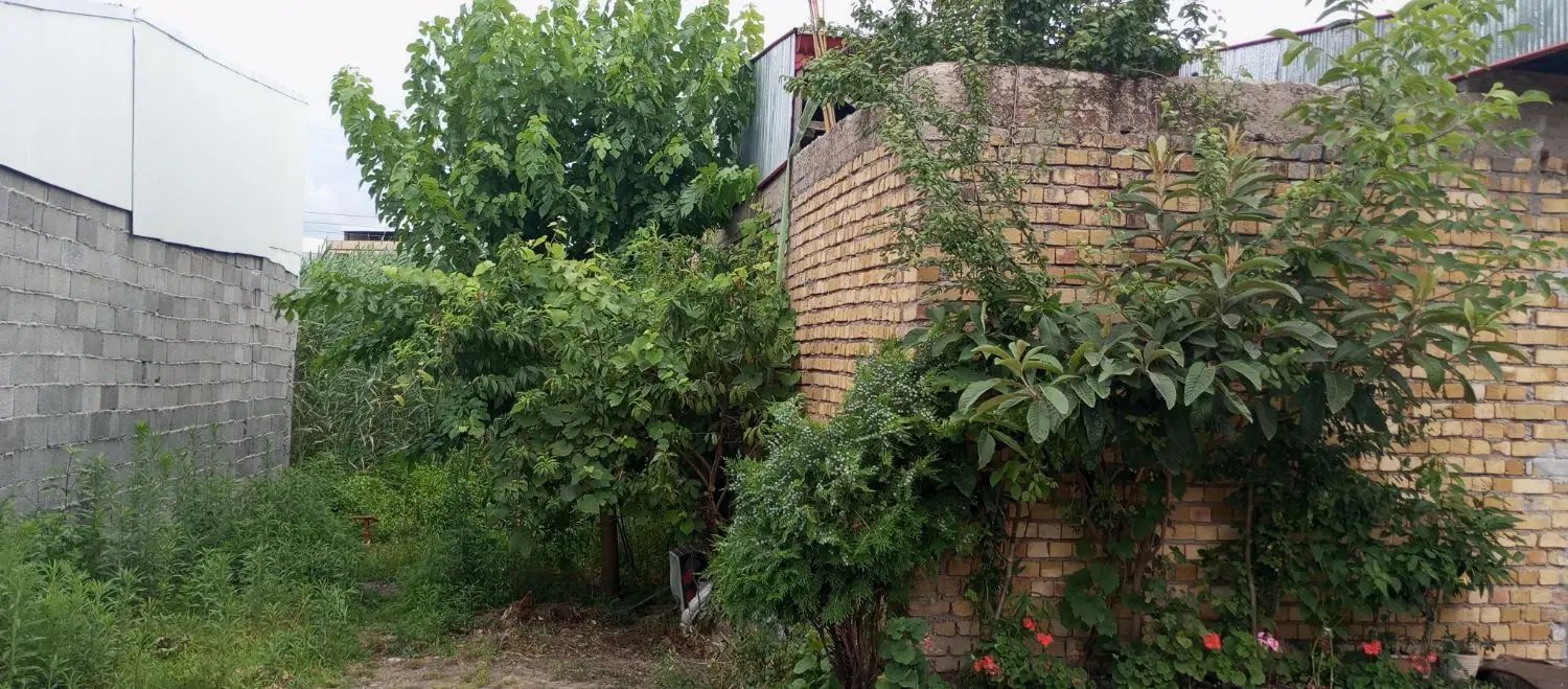 فروش زمین ۶۰ متری در جماران|فروش زمین و ملک کلنگی|رشت, جماران|دیوار