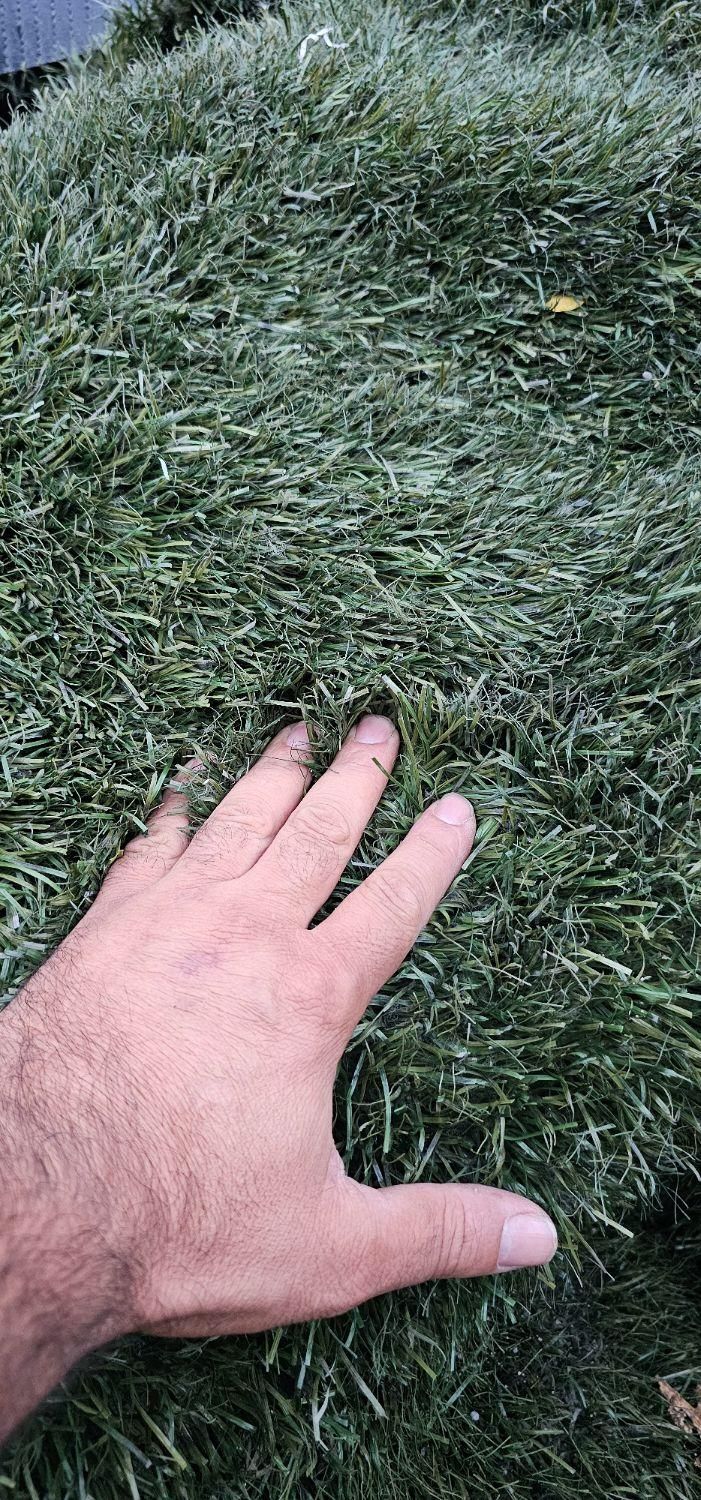 چمن مصنوعی دست دوم فوتبالی +خارجی کارکرده و استوک|گل مصنوعی|تهران, فلسطین (میدان انقلاب)|دیوار