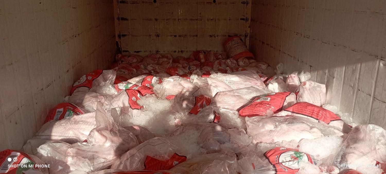 بوقلمون شنیسل مغز ران|خوردنی و آشامیدنی|قم, خاکفرج|دیوار