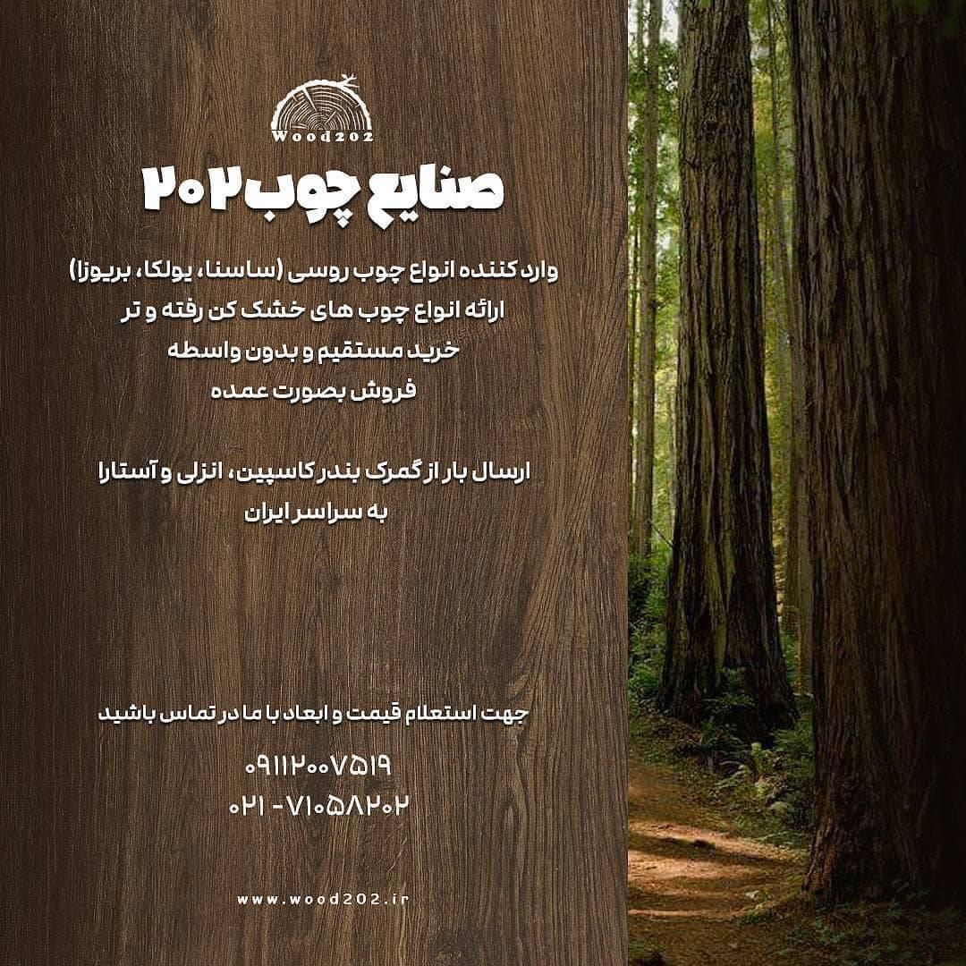 واردات چوب روسی|عمدهفروشی|بندر انزلی, چهارفریضه|دیوار