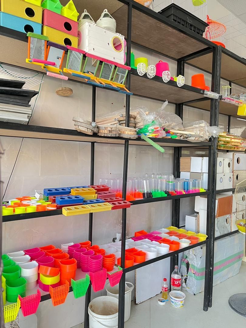 پرنده سرای سیستان|پرنده|گلبهار, شهر جدید گلبهار|دیوار