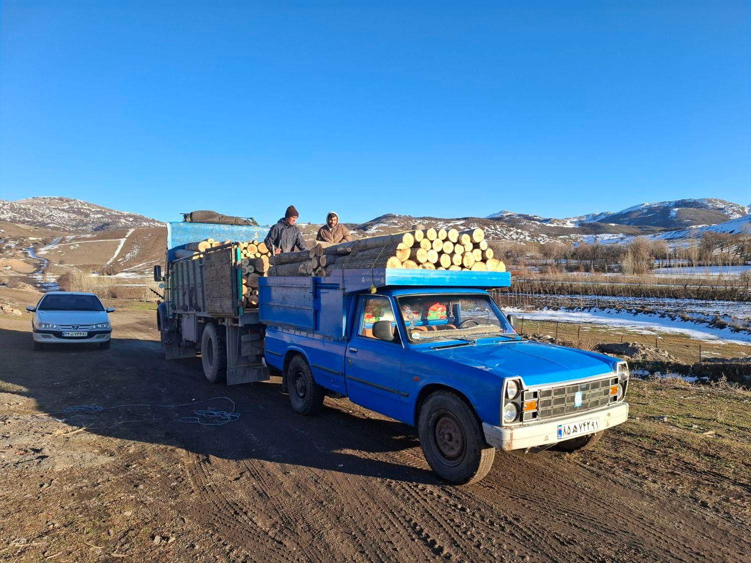 خریدو فروش انواع چوب آلات باغی جنگلی در استان|خدمات باغبانی و درختکاری|اردبیل, |دیوار