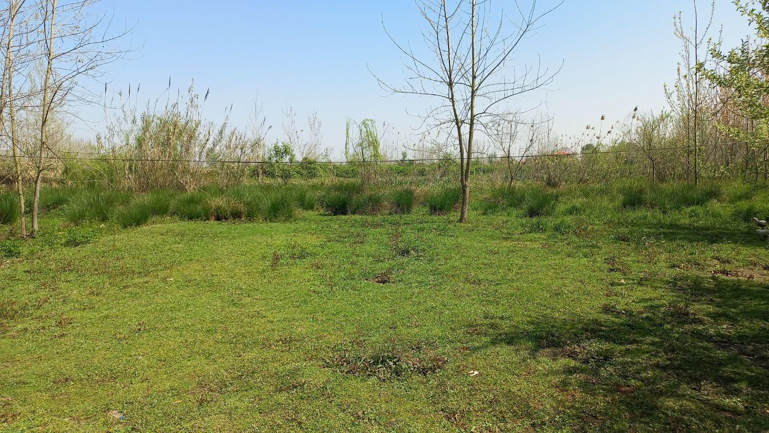 زمین ۴۲۷۷ متری با ۲۰۰ متر مسکونی (در پسیخان)|فروش زمین و ملک کلنگی|رشت, پسیخان|دیوار