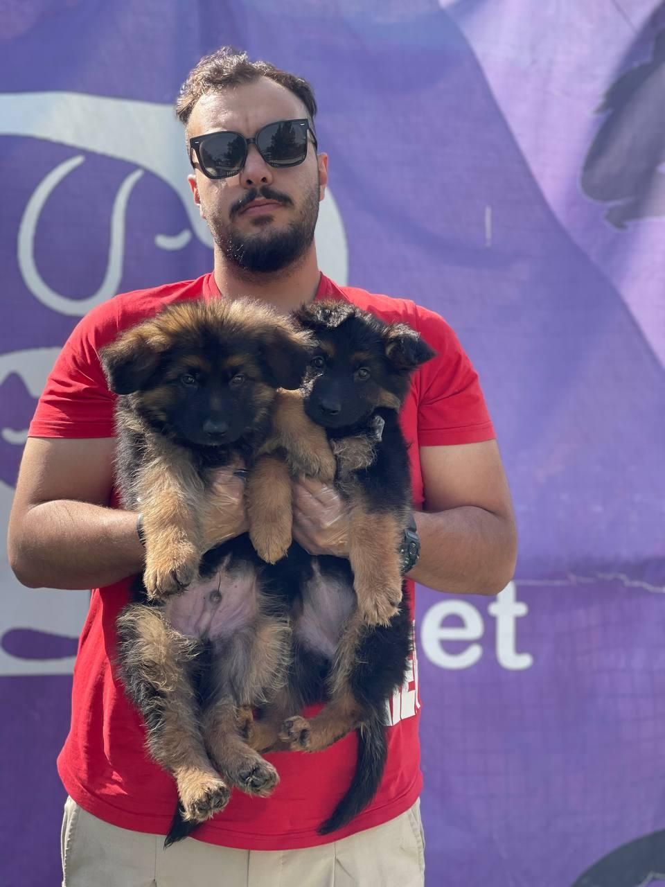 ژرمن شپرد کینگ موبلند بلک فیس|سگ|تهران, جنت‌آباد مرکزی|دیوار