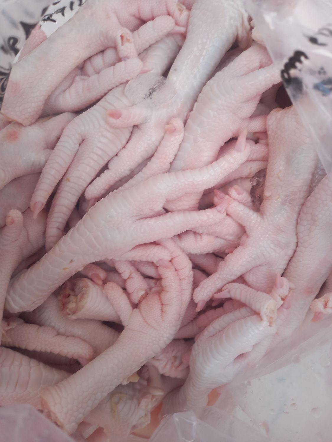 پای مرغ تازه بهداشتی بسته۲.۵کیلویی.وگردن مرغ درشت|خوردنی و آشامیدنی|قم, شهرک فاطمیه|دیوار