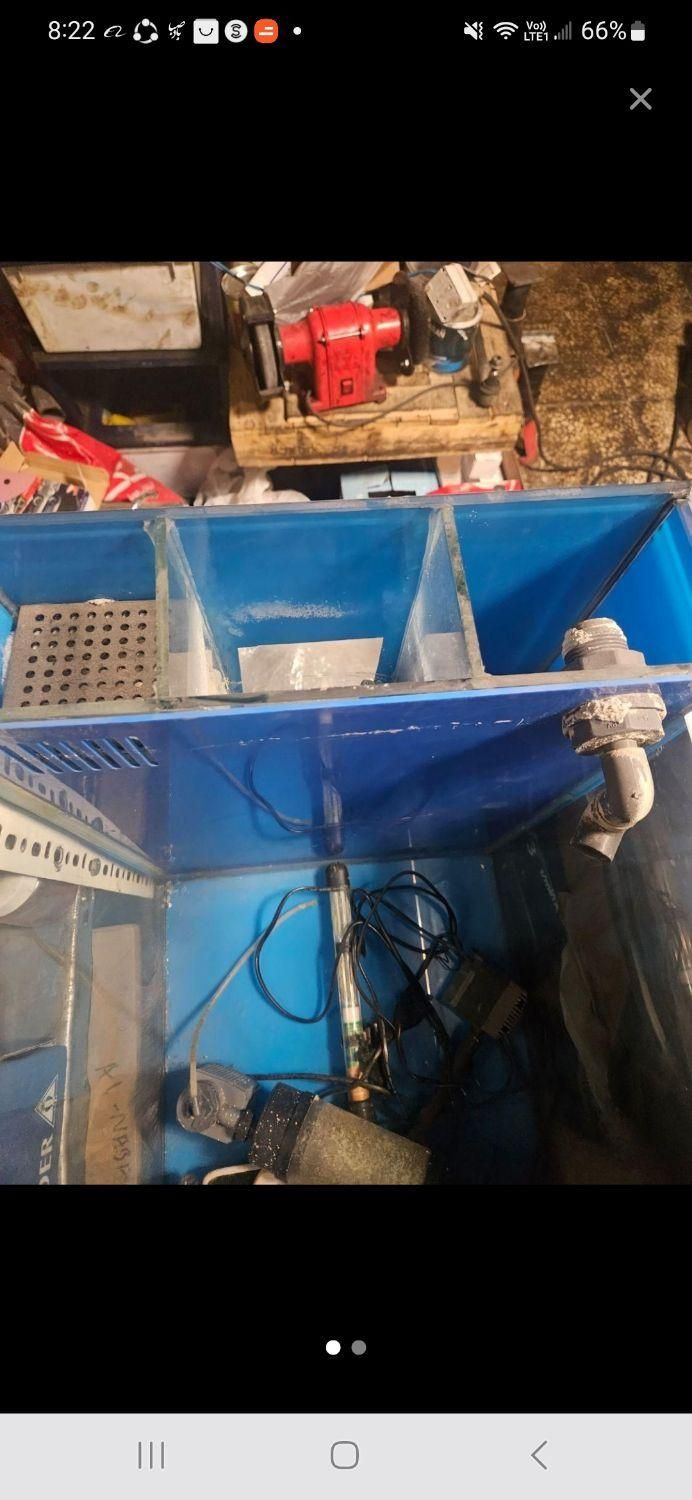 آکواریوم آب شور|ماهی|تهران, نظامی گنجوی (توانیر)|دیوار