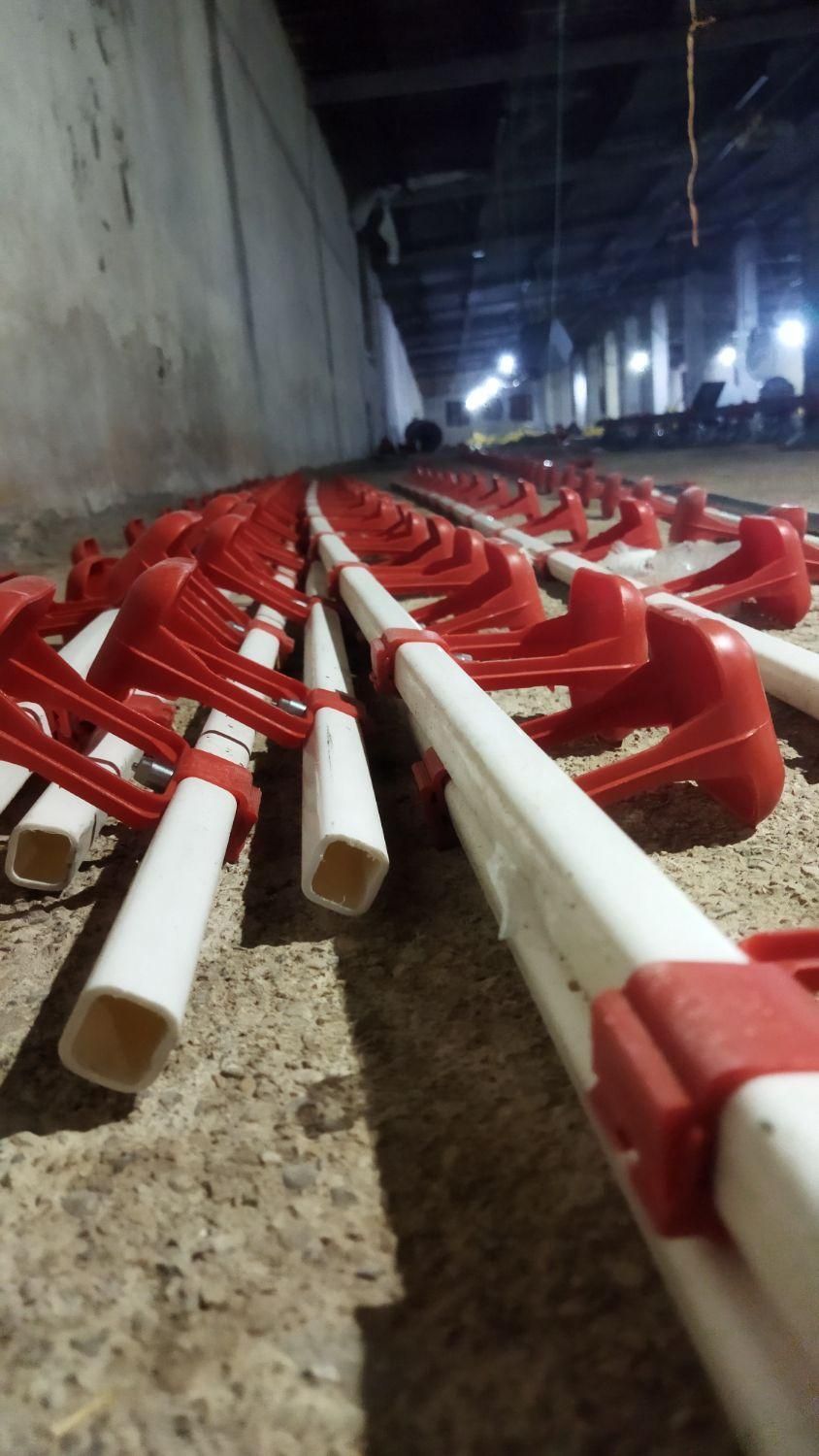 سیستم ابخوری نیپل تولید وفروش تجهیزات مرغداری|ماشینآلات صنعتی|قزوین, |دیوار