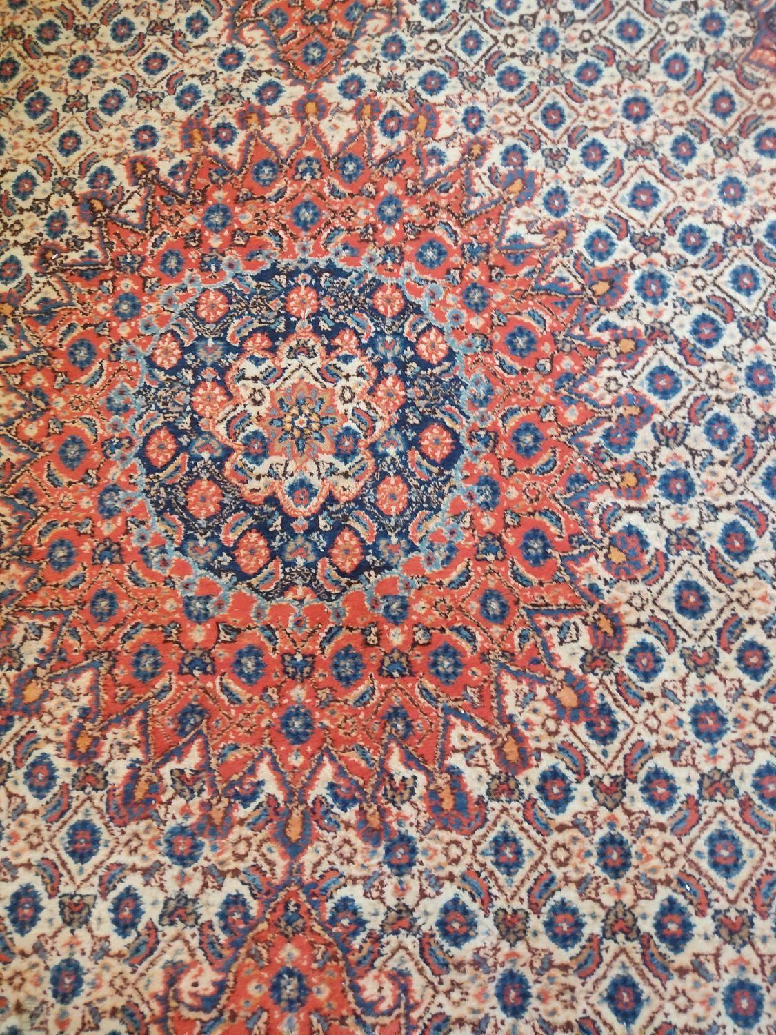 فرش دستباف نفیس|فرش|زاهدان, |دیوار