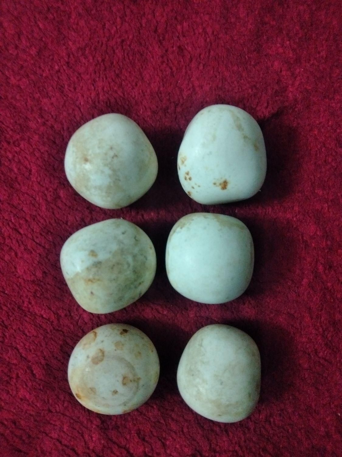 سنگ الماس اسیاب|جواهرات|ری, شهید غیوری (ابن باویه)|دیوار