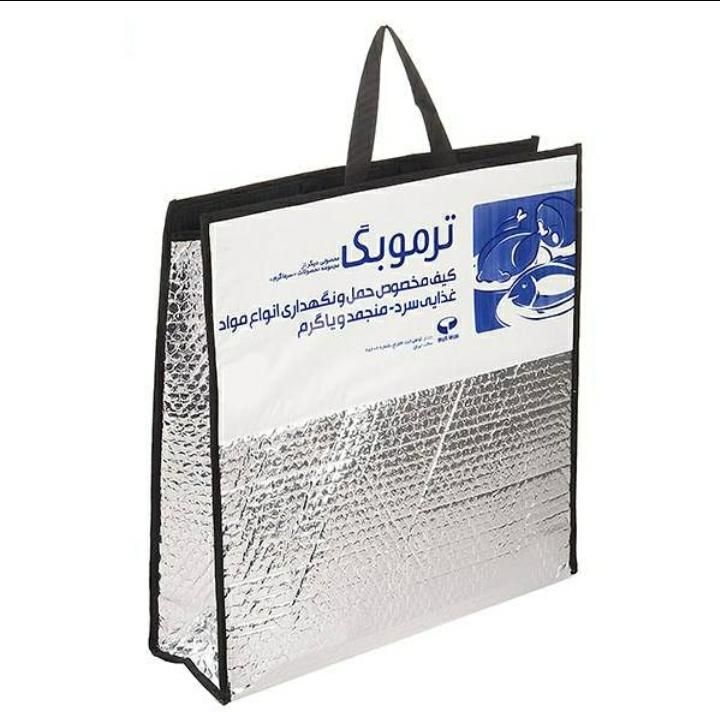ترموبگ کیف عایق همراه با یخ خشک|آرایشی، بهداشتی، درمانی|تهران, دستغیب|دیوار