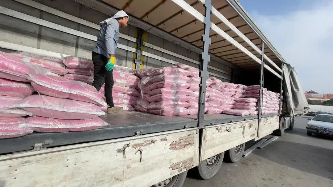 برنج پاکستانی انبه 1121دانه بلند استیم (جزئی وکلی)|عمده‌فروشی|مشهد, گاز|دیوار