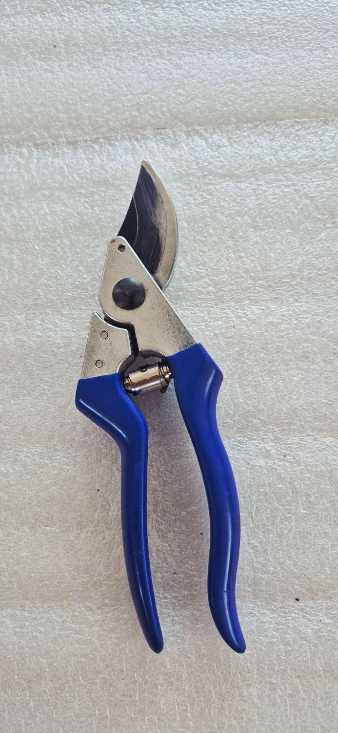 قیچی باغبانی|ابزارآلات|بوکان, |دیوار