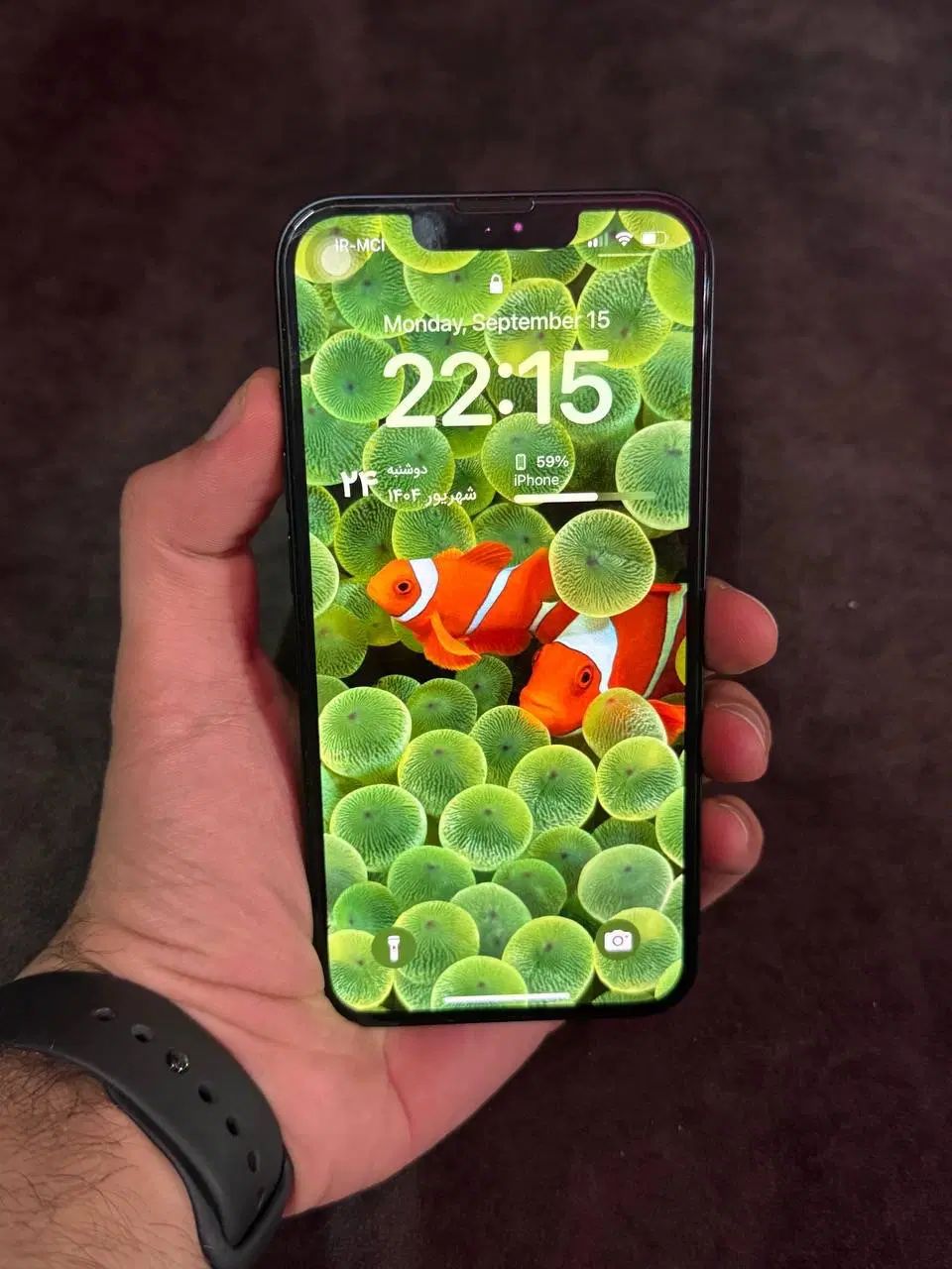 Iphone 14|موبایل|تهران, فلسطین (میدان انقلاب)|دیوار