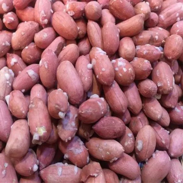 خرید مستقیم بادام زمینی از آستانه اشرفیه|خوردنی و آشامیدنی|تهران, جردن|دیوار