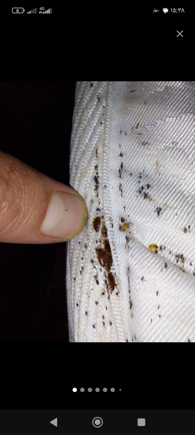 سمپاشی ساس سوسک مار عقرب موش کک موریانه حشرات|خدمات نظافت|آبادان, |دیوار