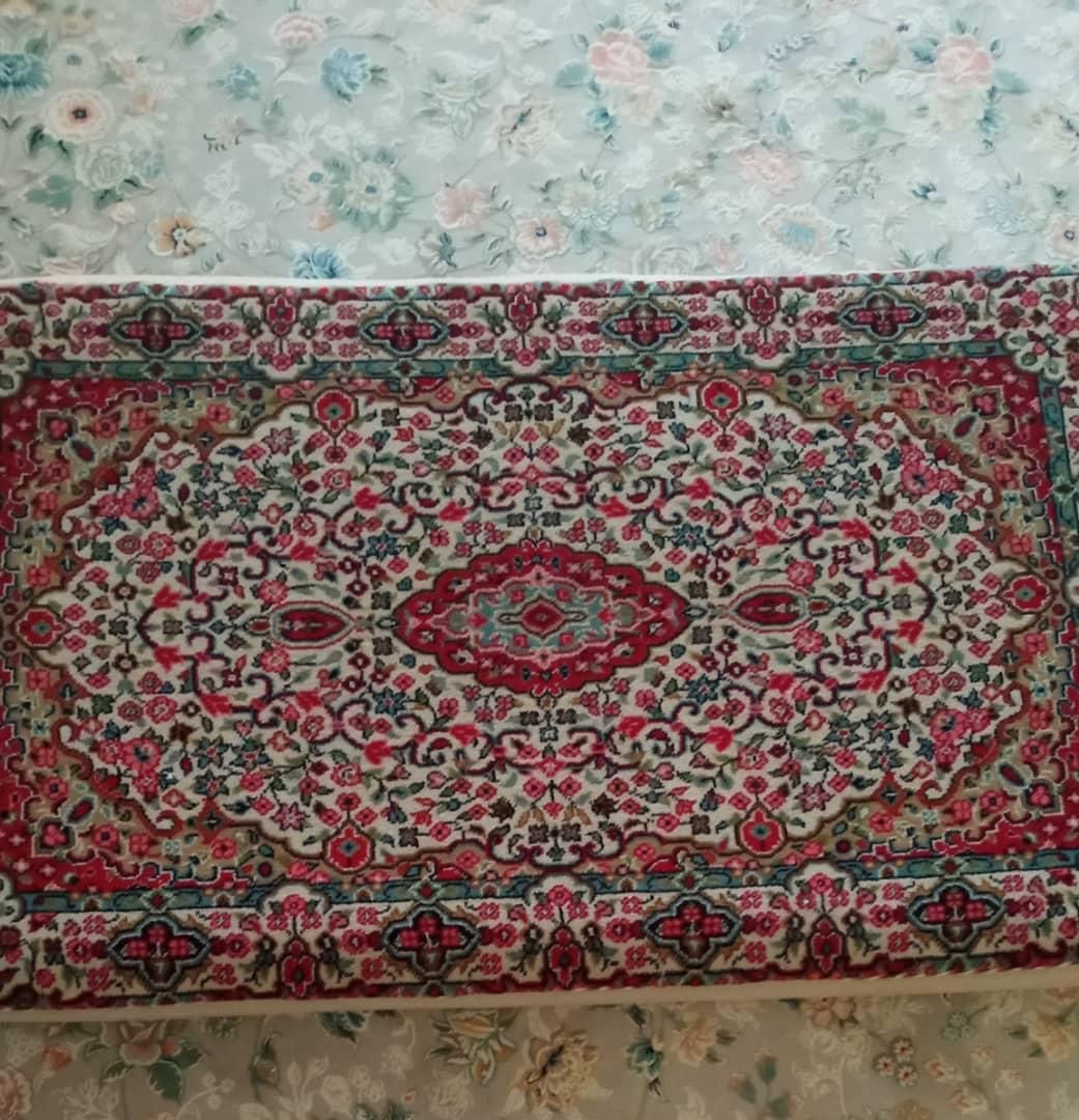 دو جفت پشتی ، در حدنو ، قابل شستشو|پشتی|بندرعباس, |دیوار