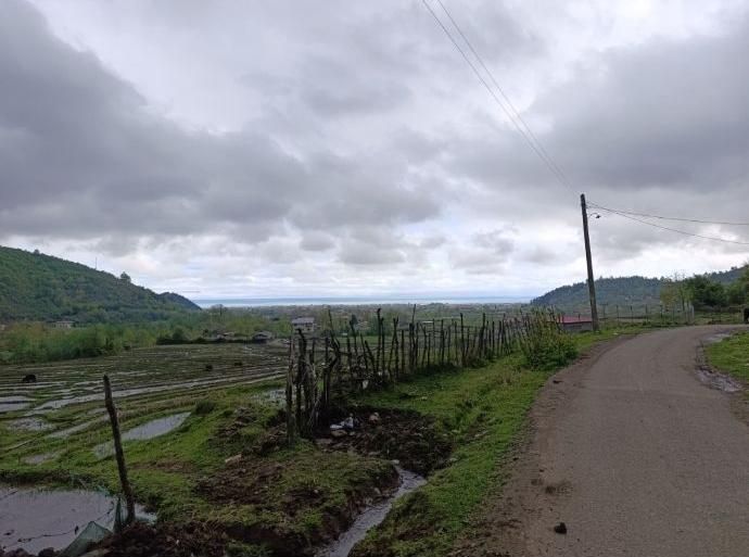 زمین 300 متر مسکونی کوهپایه جنگلی در شهر لیسار|فروش زمین و ملک کلنگی|لیسار, |دیوار