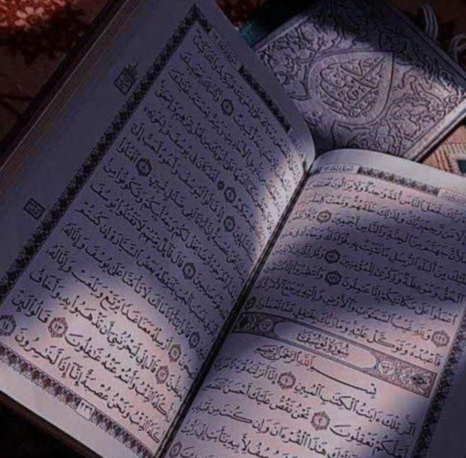 فال و سرکتاب|فعالیت داوطلبانه|کرج, گلشهر|دیوار
