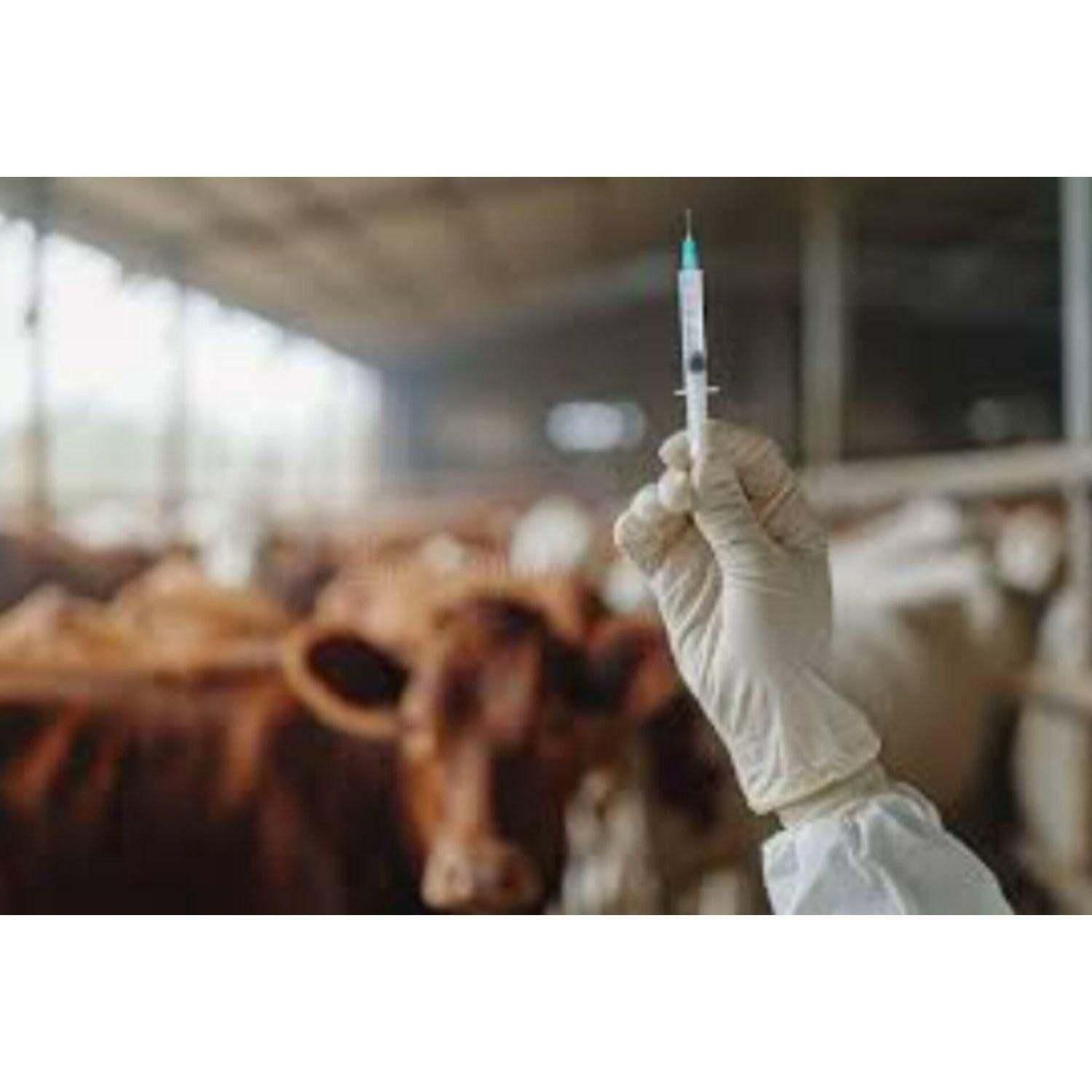 کارگاه آموزشی تزریقات دام - گاو و گوسفند و بز-پت|خدمات آموزشی|تهران, بلوار کشاورز|دیوار