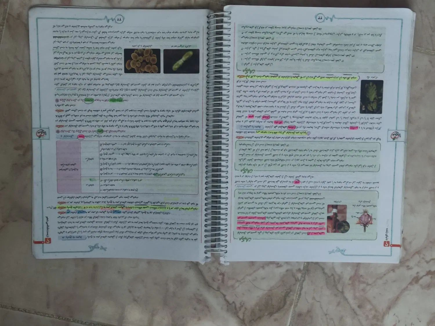 کتاب کمک درسی دهم|کتاب و مجله آموزشی|رشت, پل تالشان|دیوار