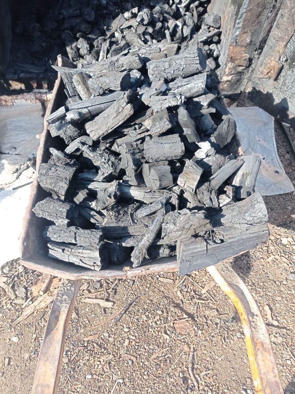 زغال کبابی درجه‌ یک|عمده‌فروشی|مشهد, نوید|دیوار