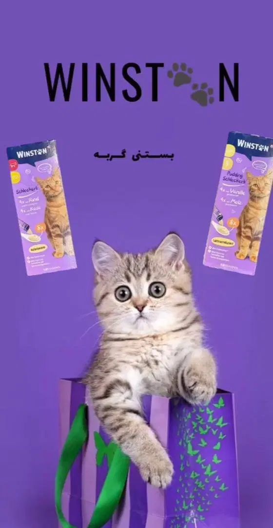 بستنی winstoon گربه اصلی|لوازم جانبی حیوانات|تهران, ستارخان|دیوار