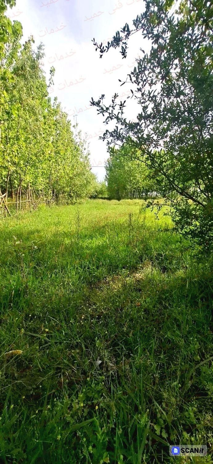 ۲۱۰مترکامل مسکونی شهراحمدسرگوراب|فروش زمین و ملک کلنگی|احمدسرگوراب, |دیوار