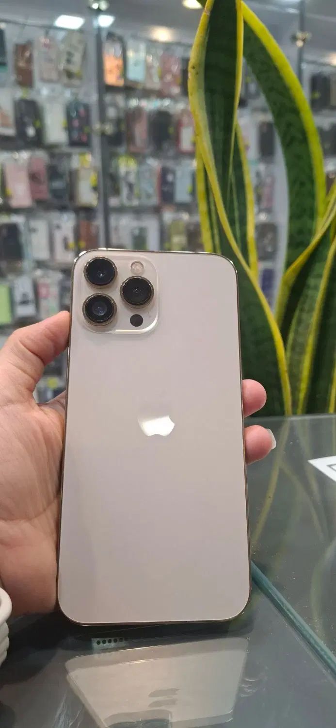 اپل iPhone 13 Pro Max با حافظهٔ ۲۵۶ گیگابایت|موبایل|مشهد, توس (بلوار توس)|دیوار