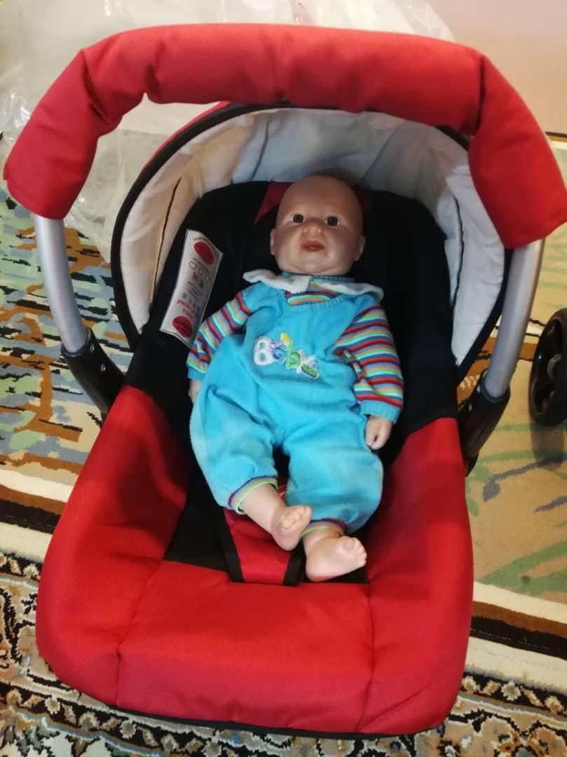 سرویس کالسکه پیرگاردین|کالسکه و لوازم جانبی|فردیس, منظریه|دیوار