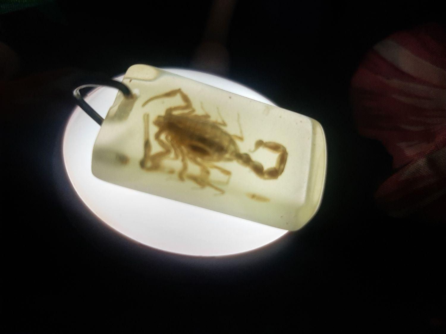 سنگ عقرب|کلکسیون اشیاء عتیقه|تهران, آجودانیه|دیوار